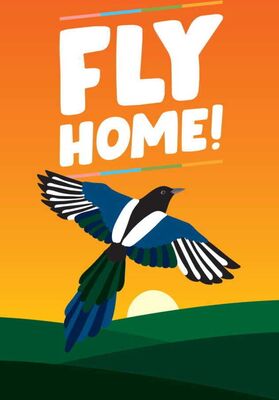 Order Fly Home! at Amazon