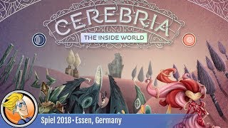YouTube Review for the game "Cerebria: The Inside World" by BoardGameGeek